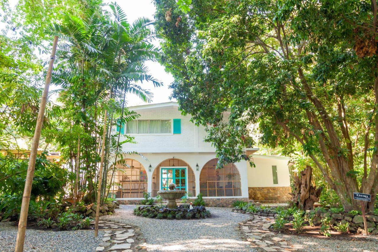 Angeli Gardens Boutique Hotel San Pedro Sula Zewnętrze zdjęcie